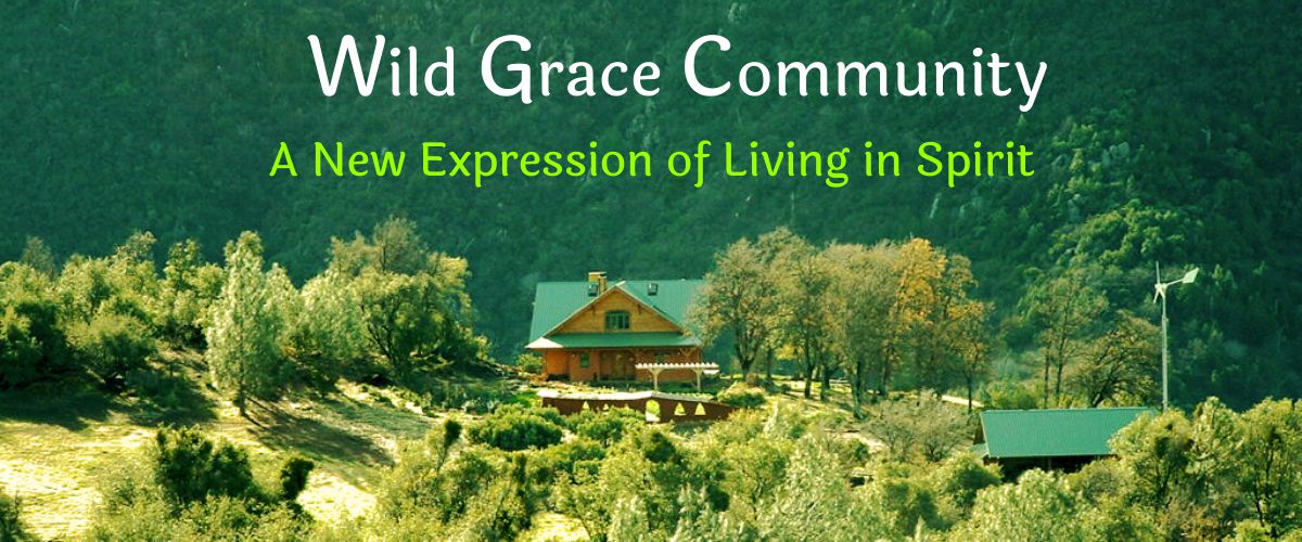 Wild Grace Community Homepage Banner